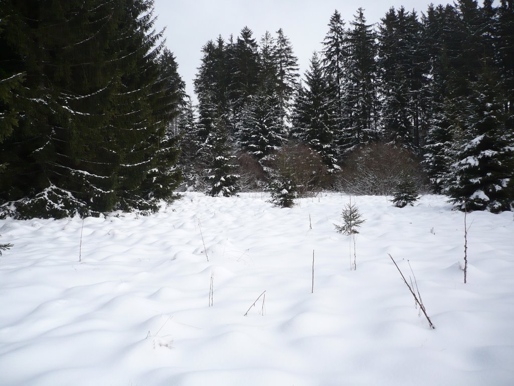 592 04 Fryšava pod Žákovou horou, Czech Republic by pilnaj