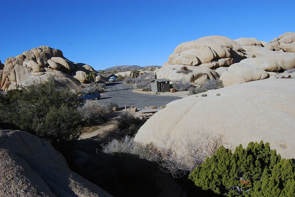 Jumbo Rock Campground, Joshua Tree National Park, CA by vegasdesertfox