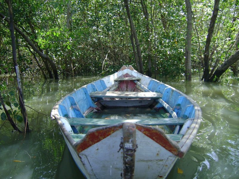 R. Magalhães Barata, Maracanã - PA, Brazil by serginho melo