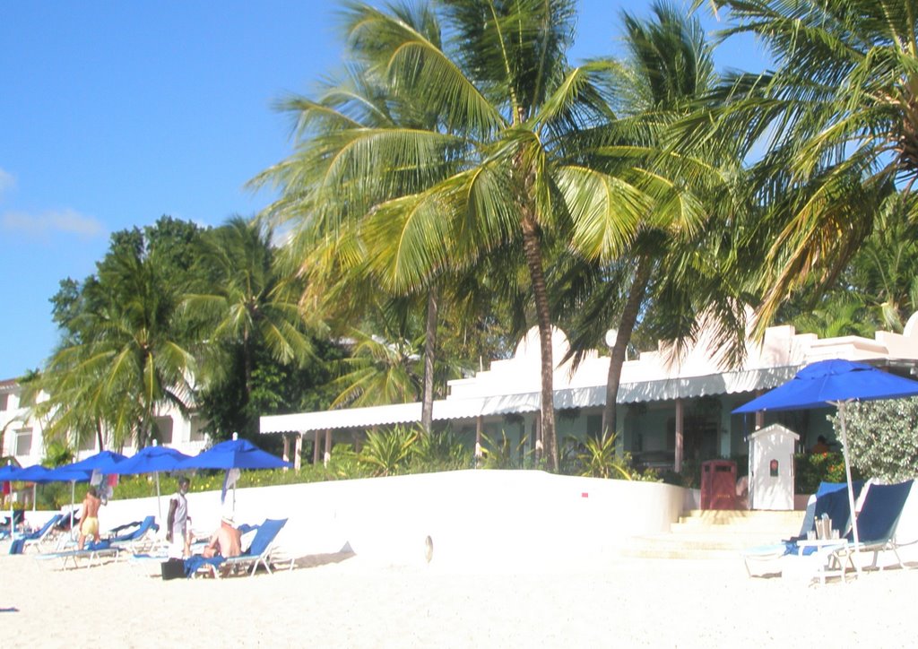 Hwy 1B, Porters, Barbados by egoat