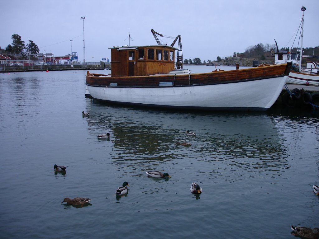 Fishing boat, Grisslehamn. by OssianF