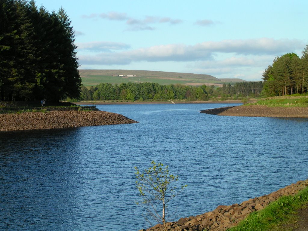 Entwistle Reservoir by Paul Carter