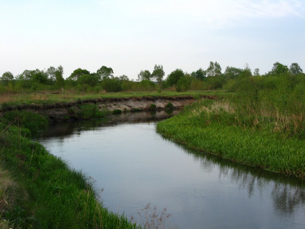 Meandry tanwi niedaleko wsi pisklaki by sigursen