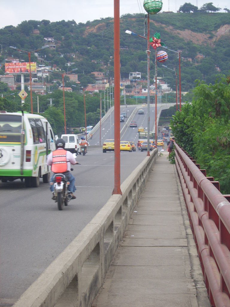 Puente Elias M. Soto - Diagonal Santander by jota05