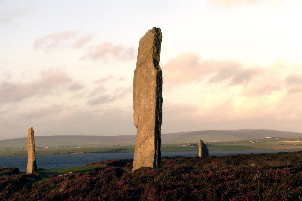 Ring of Brogar, Orkney by david firn