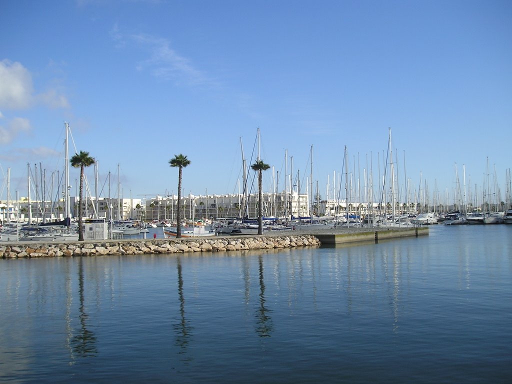 Lagos Marina, Algarve, Portugal by paulacallow