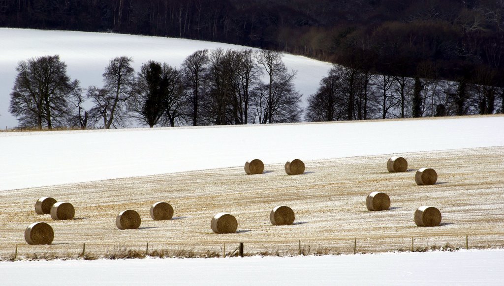 Hay-bales in the snow by Graham Hobbs