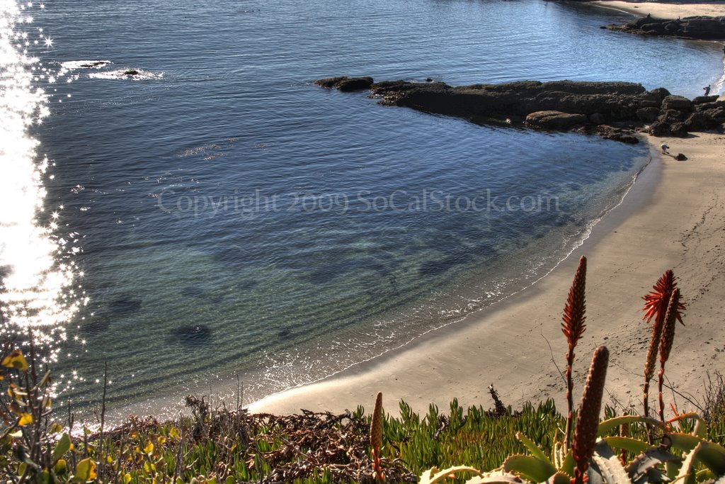 Treasure Island - Laguna Beach by Tom Ferris