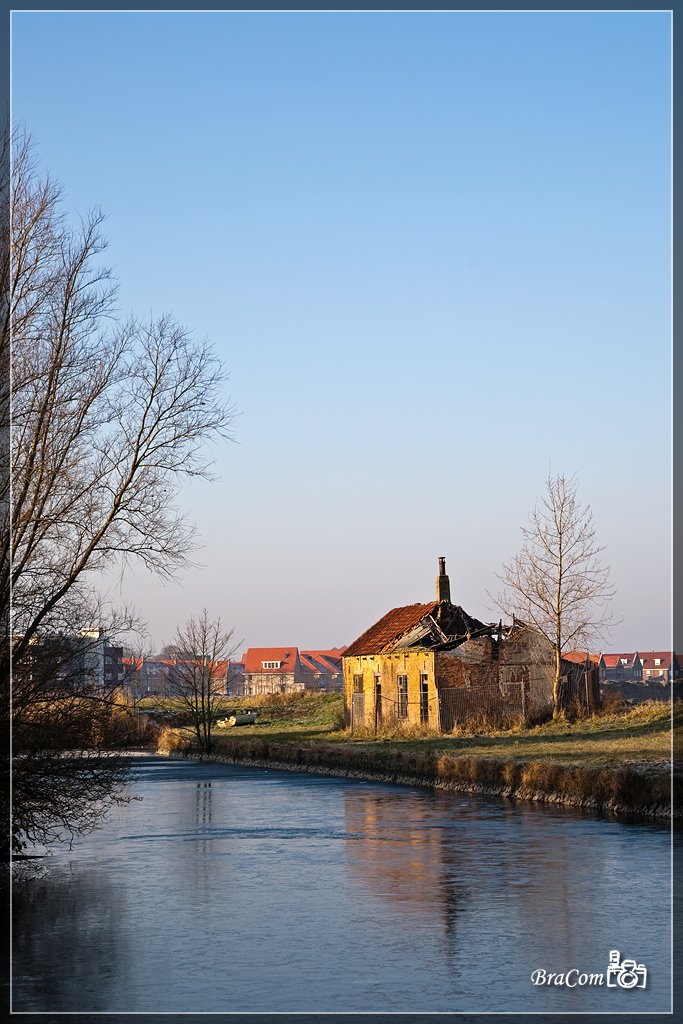 Vingerling, Middelharnis by © BraCom (Bram)