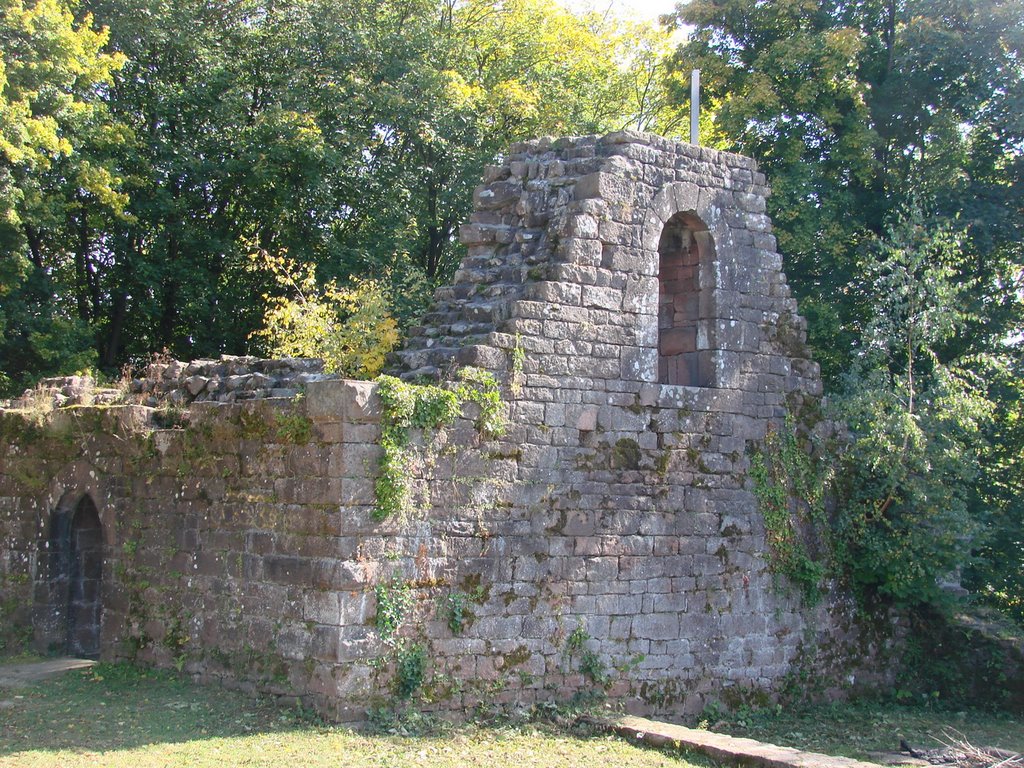 Burg Eberbach, September 2008 by Dan-Fan