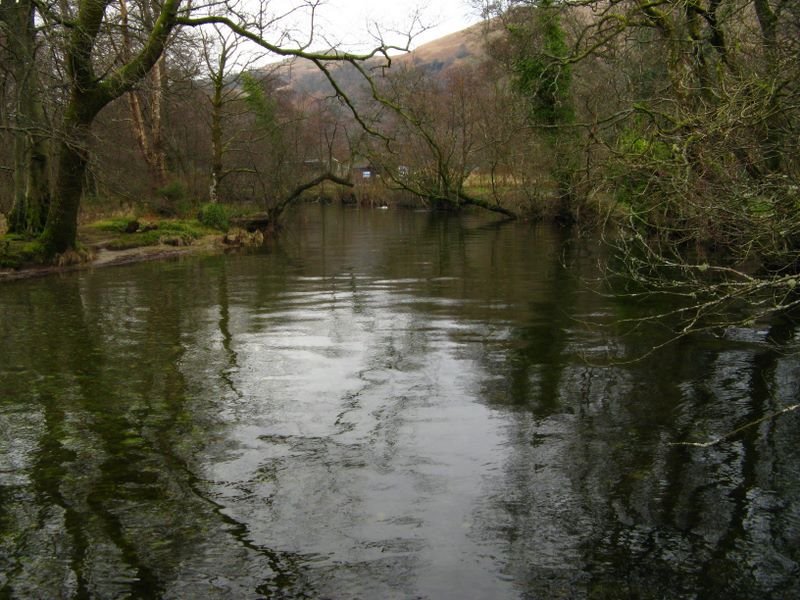 Ein Flüßchen am Loch Lomond by Ronny Nawrodt