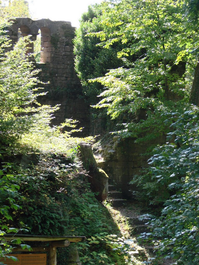 Burg Eberbach, September 2008 by Dan-Fan