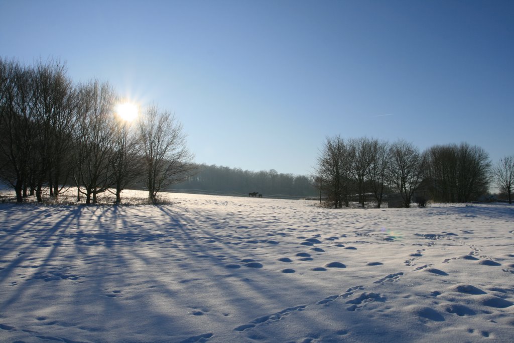 Schiedersee im Winter by Ruediger Landwehr