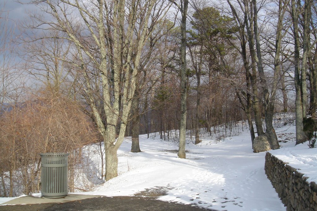 Snow up at Mill Mountain by DieselDucy