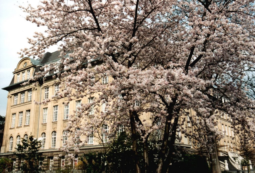 Bonner Frühling,Landw.-Kammer by aaengst