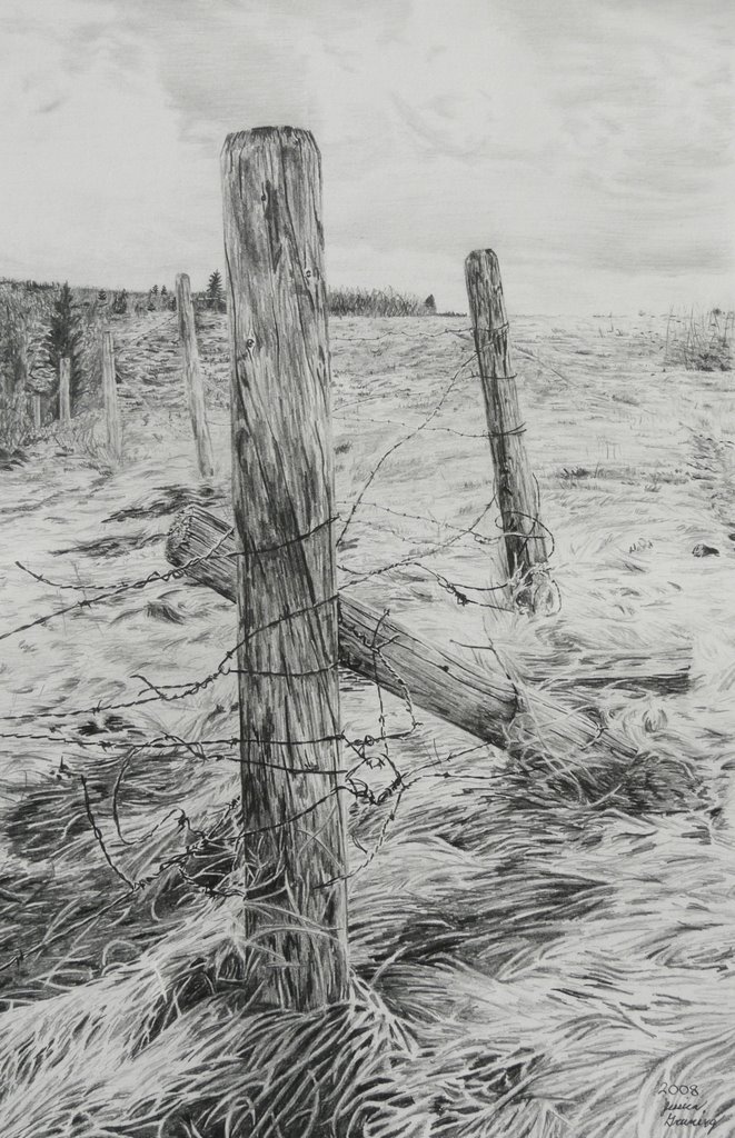 Barbed Wire (Pencil drawing) by Jessica G.