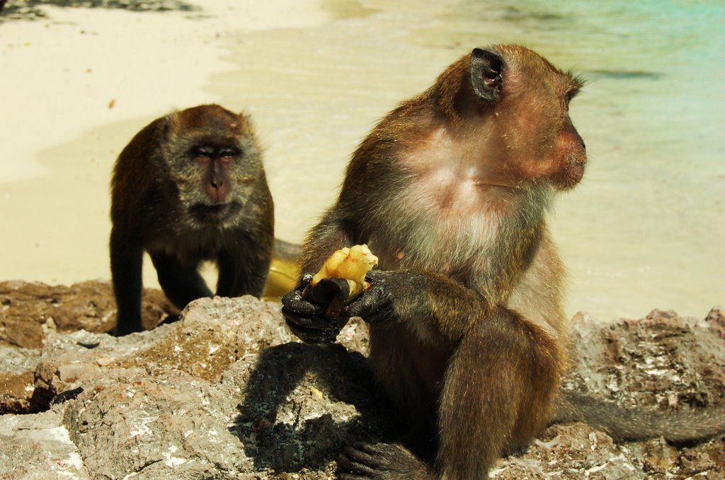 Monkey Island in front of Phi Phi Town by Jorge Martinez R