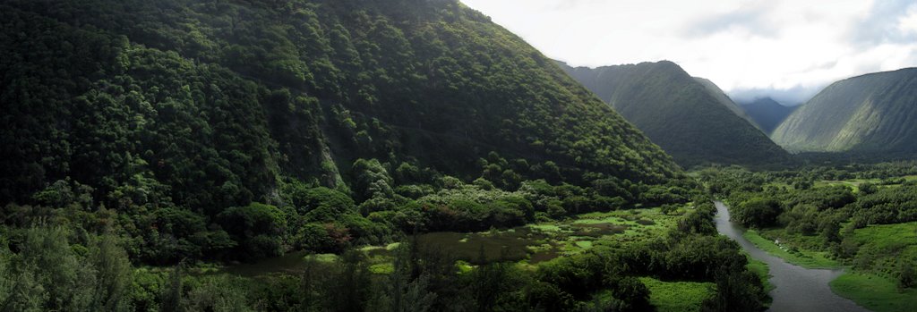 Waipio Valley Road, from a kite by tbenedict