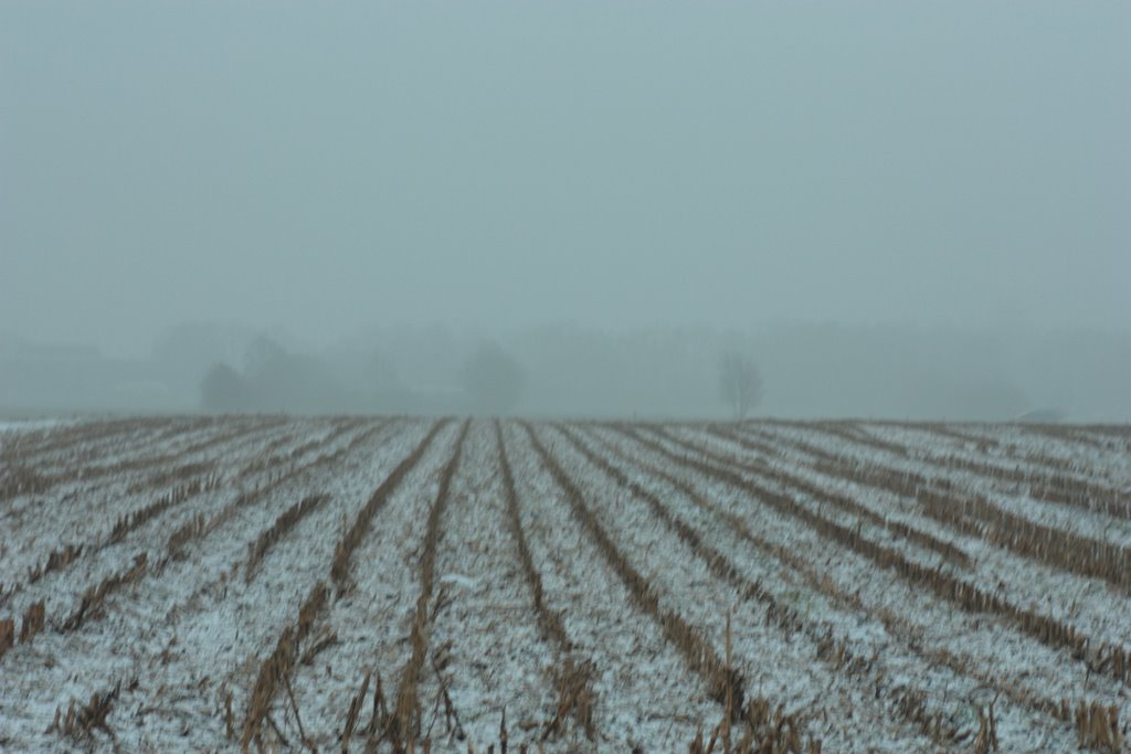 Maize field in winter by Jan de Boer