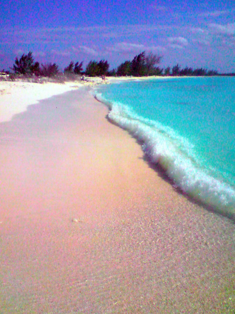 CAYO LARGO, CUBA by Jose Ceba Escobar