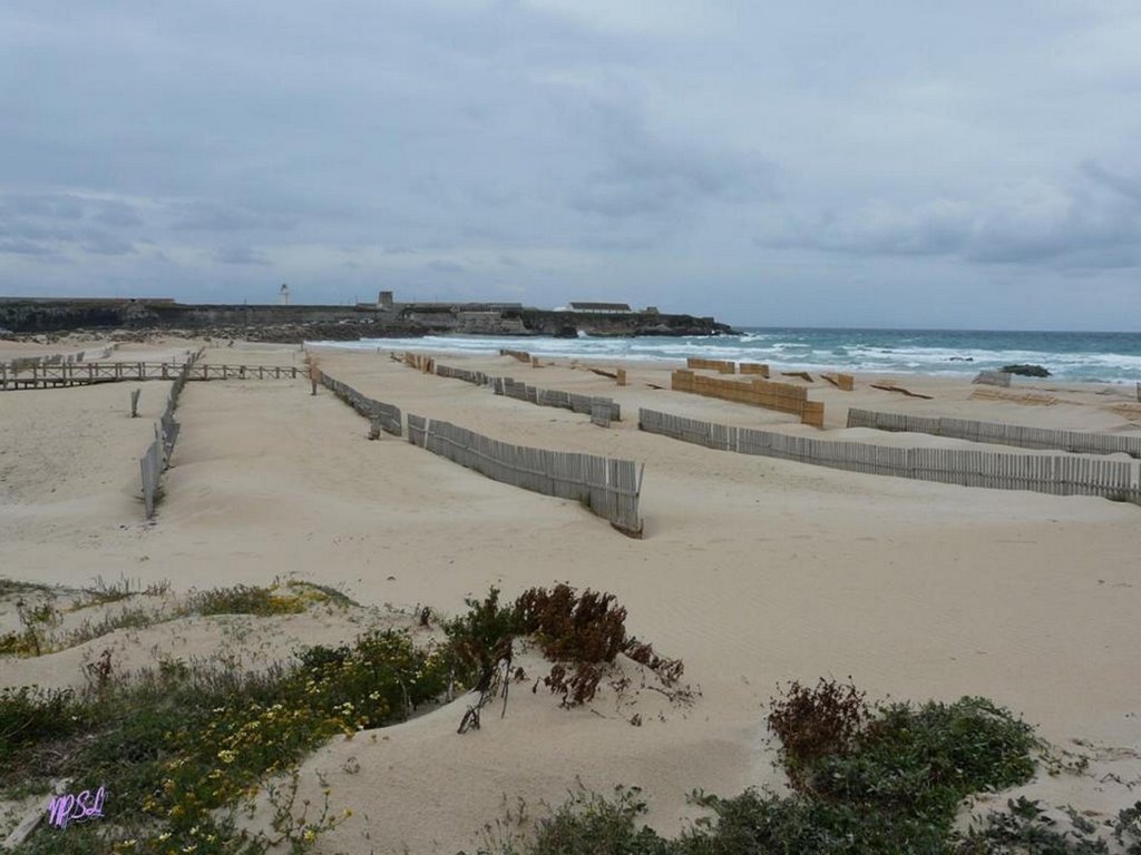 Playa de Tarifa by Nelly Salvador Lázar…