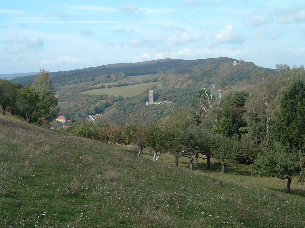 Schmücke Blick zu den Sachsenburgen by Gottfried Hoffmann - der Thüringer