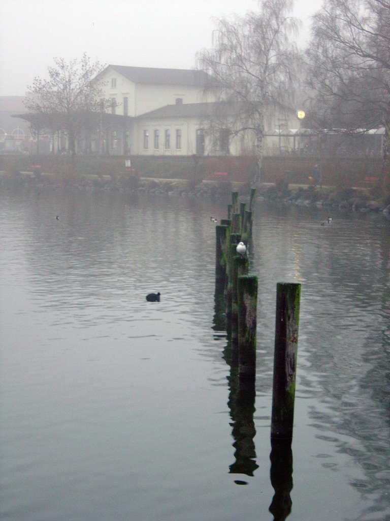 Bahnhof Plön vom Bootssteeg aus gesehen im Januar 2009 by Mar-ning