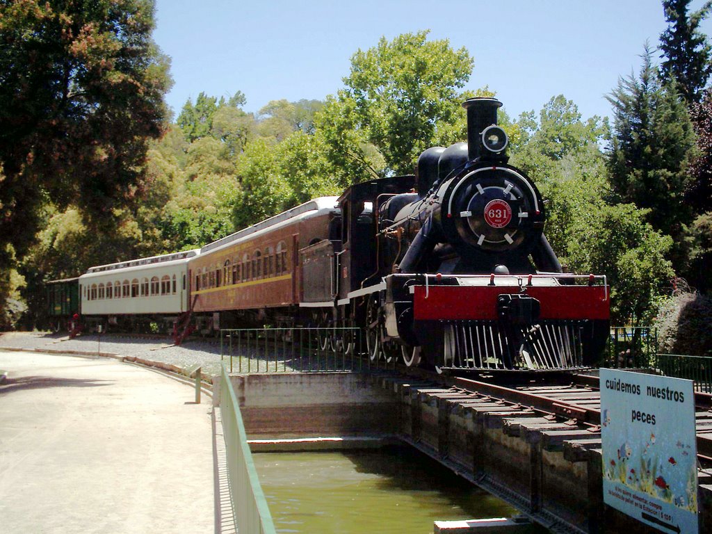 Tren a Vapor Museo del Tren by Carlos Cortes G