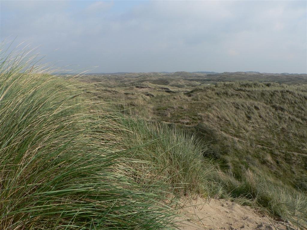 Egmond aan Zee by Gincius23