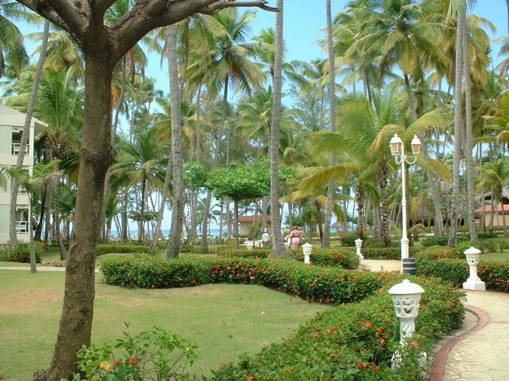 HOTEL CARABELA BAVARO, LES JARDINS VERS LA PLAGE by christinella