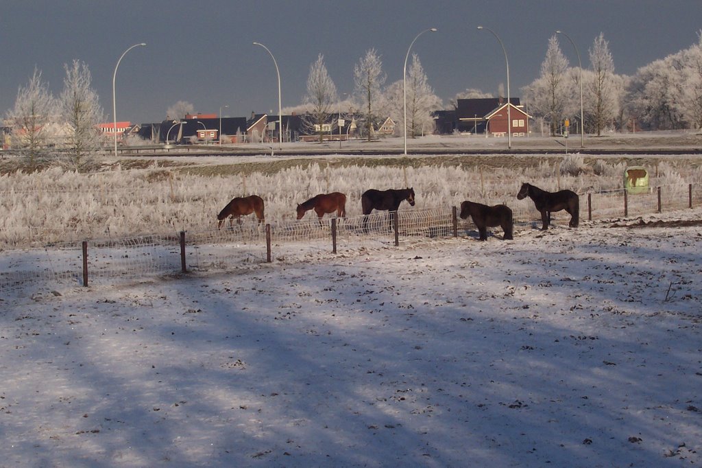 Zicht op Stadshagen by Bart v d W