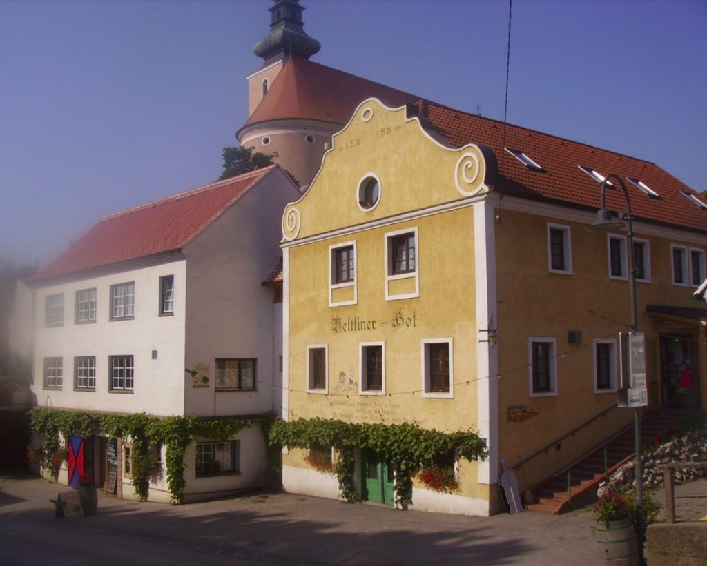 Weingut Rieder, Veltlinerhof Poysdorf by jakob_poysdorf