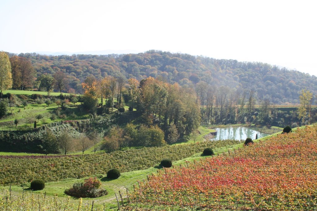 Zwischen Ihringen und dem Liliental by Thomas Ahlmeyer