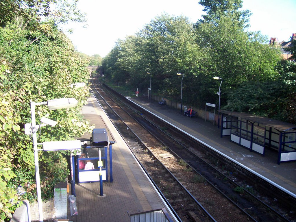 The East London Line, Crouch Hill by saintjohnny