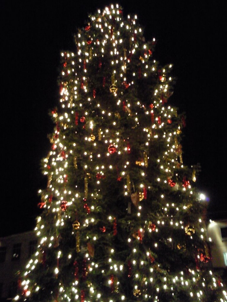 Weihnachtsmarkt Heilbronn by answer1985