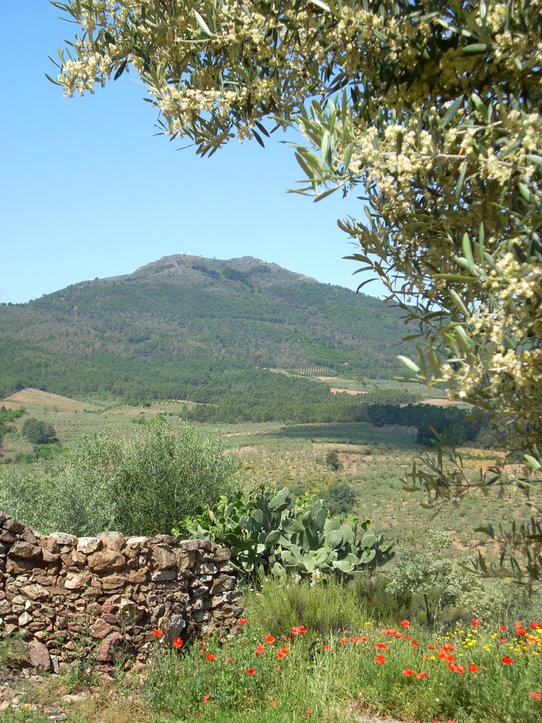 Sierra desde la Ermita by JJBF