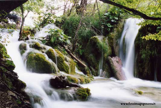 Plitvice by Foto Image Genova di…