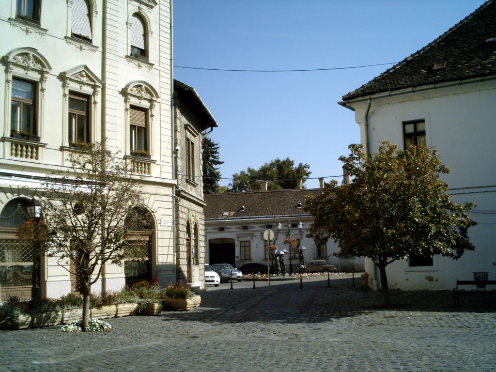 Fö tér, III. Kerület, Árpád Hid, Budapest, Magyarorszag by Miqlos