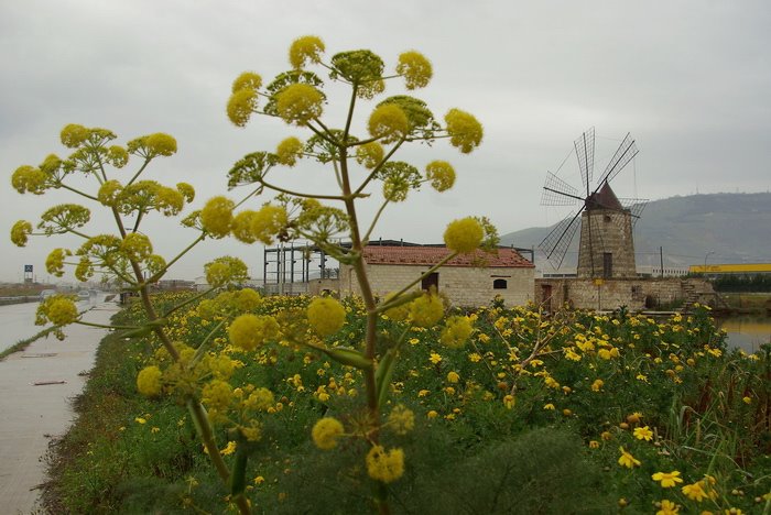 Piove alle saline by Beppe Miceli