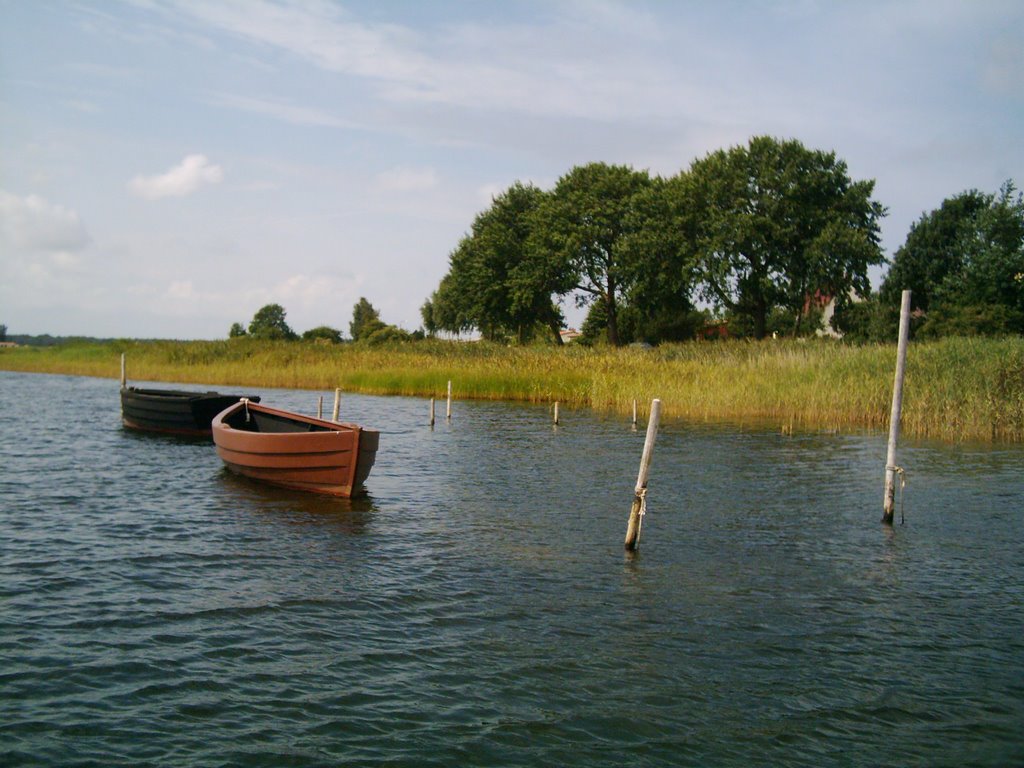 Boat, Reed & Water by Die Ente