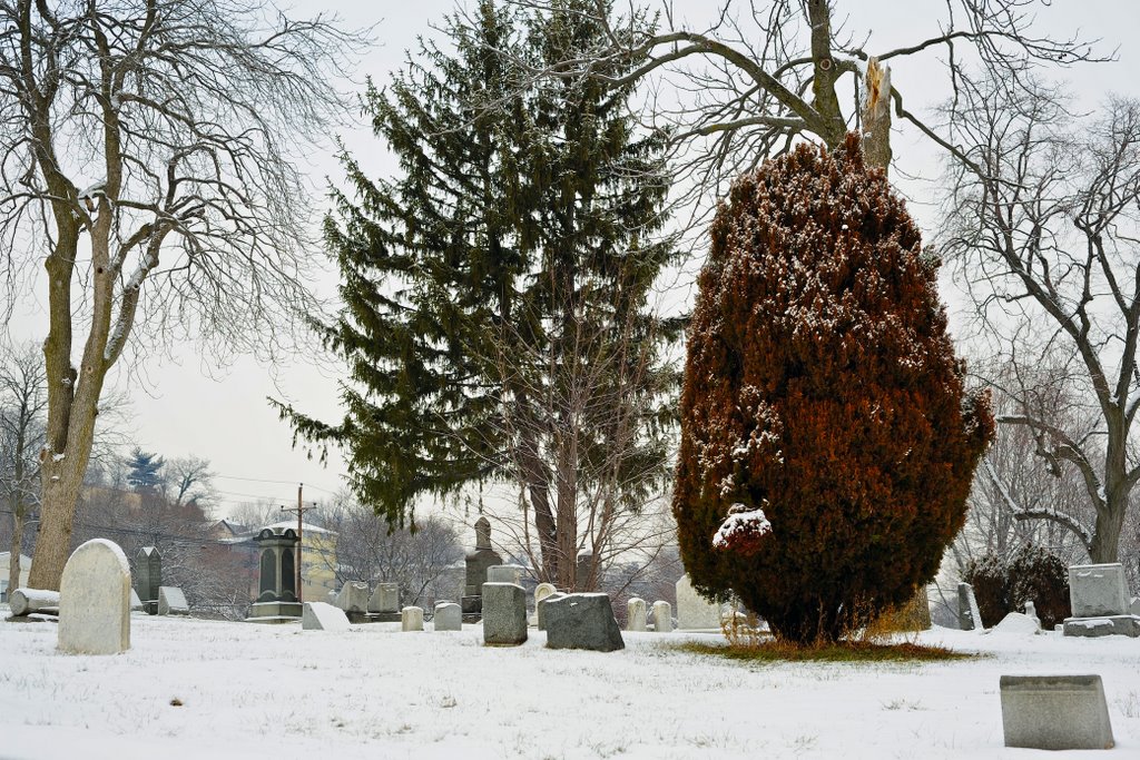 Carlstadt Cemetery by psiafakas