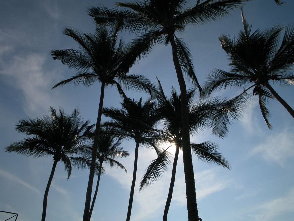 LindoMar, PuertoVallarta, Jalisco by Juan m Juarez