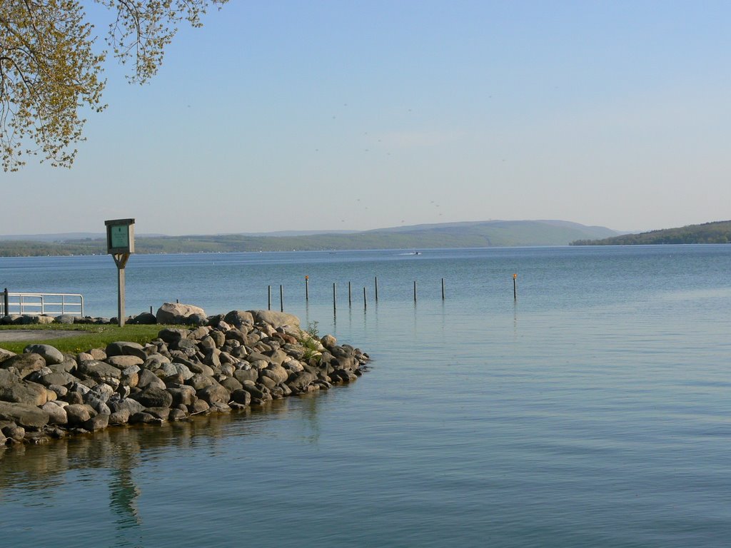 Canandaigua Lake piers by cathc7