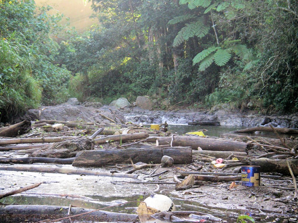 Río Guayo entrando al by renerr