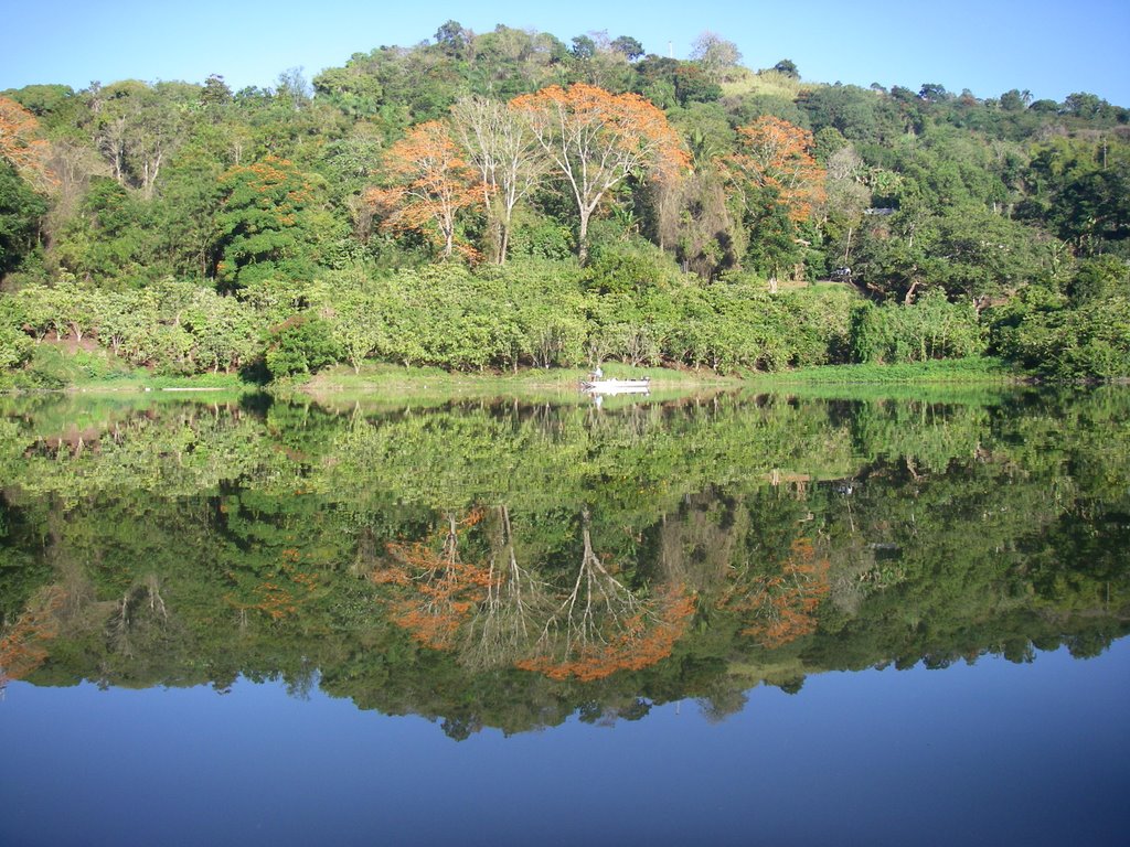 Bartolo, Lares, Puerto Rico by renerr