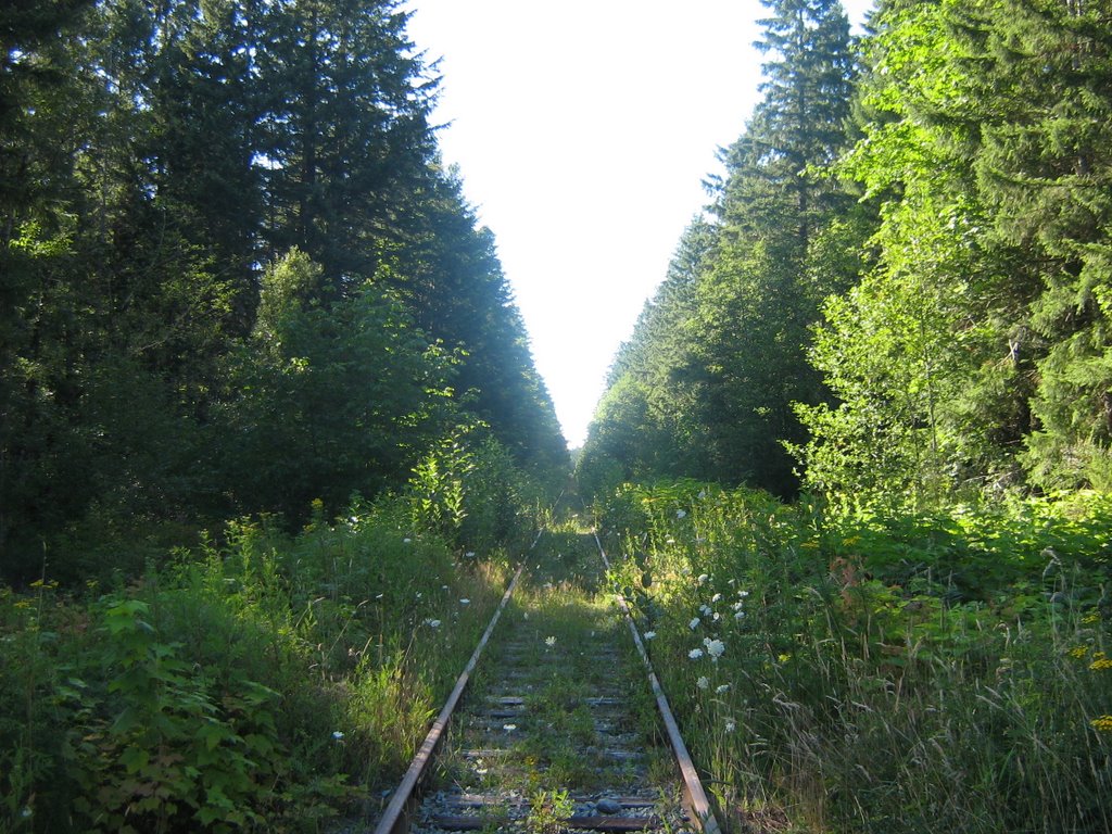 E & N Rail line at Smith Road by Gordon Niamath