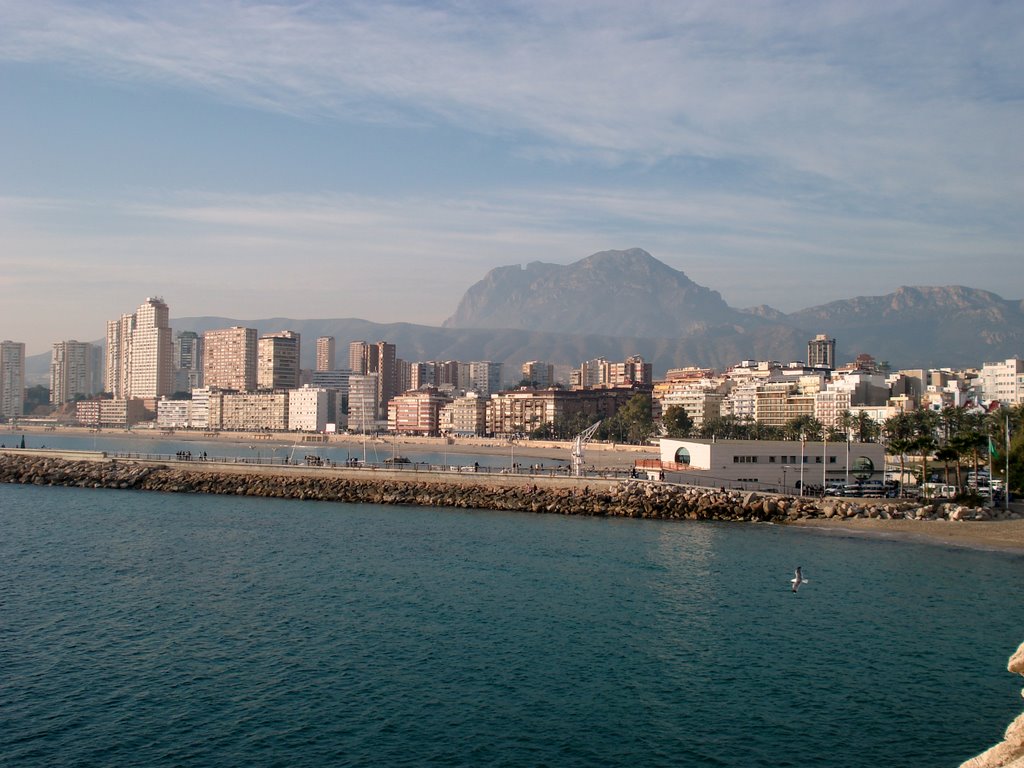 Benidorm, Alicante, Spain by Peter Kostov