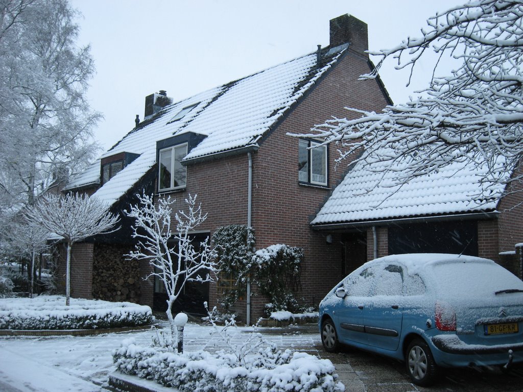 Fuut, winter 2009 by reinoud