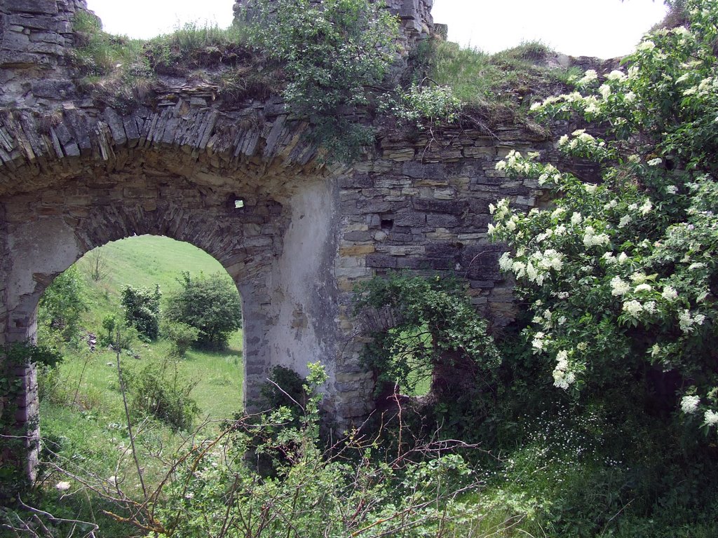 Sydoriv. Ruins of the castle. by angel_lylyk