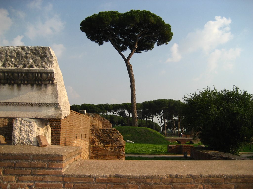 Palatine Hill by John Roberts